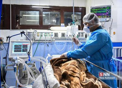 جشنواره ادبی ناقل در دانشگاه علوم پزشکی اصفهان برگزار می گردد