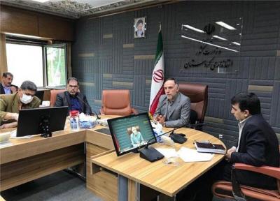 کردستان صادرکننده دان مرغی به 22 استان کشور