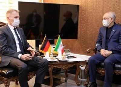 دیدار سفیر آلمان با علی اکبر صالحی
